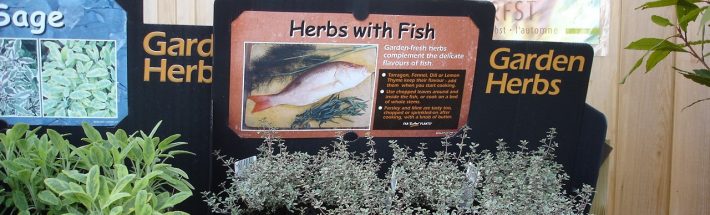 HerbswithFish